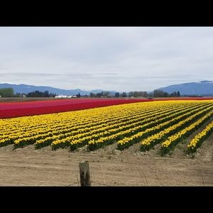 Meet your Posher, Dee